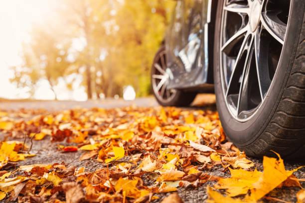 What To Expect In Autumn For Auto Transport