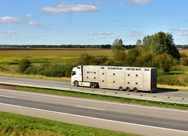 Understanding Rural Auto Shipping Services