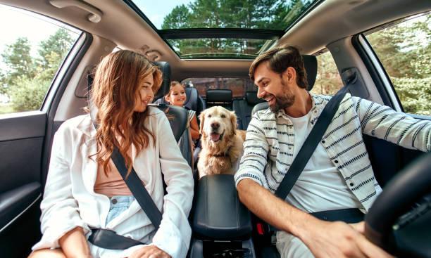 Here Are The Tips To Make Your Car Pet Friendly